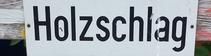 Holzschlag